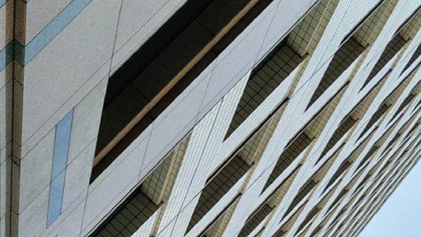 Futures for the public sector: Governance, Trust and Performance in Turbulent Times